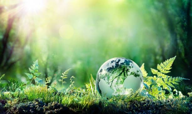 Sustainability Annual Report 2024