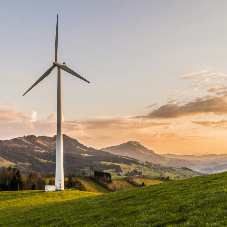 Sustainability